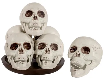 Produktbild von Realistische Totenschädel 12,5 cm im 6er-Set für Halloween