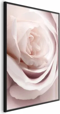 Produktbild von Posterpapier Poster - Porcelain Rose 40x60 cm Blumen b-C-0403-ao-a
