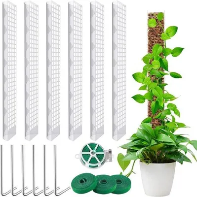 Produktbild von Famanu Moosstab 6 Stück Transparent - 24 Zoll Moosstab für Monstera DIY