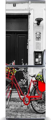 Wallario Magnetfolie Für Kühlschrank - Sonnenstrahlen Im Wald Motiv 60x80 Cm