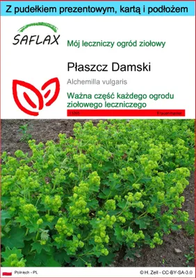 Zdjęcie produktu dla SAFLAX - Zestaw prezentowy - Płaszcz Damski - 100 Nasiona - Z pudełkiem upominkowym, etykietą wysyłkową, kartą podarunkową i podłożem uprawowym - Alchemilla vulgaris