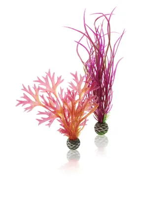 Productafbeelding van biOrb 46058 Plantenset, rood/roze, maat M - Natuurgetrouwe decoratieplanten, kunststof