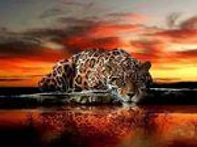 Produktbild von Diamond Painting Vollbild 30x40cm mit runden Steinen
