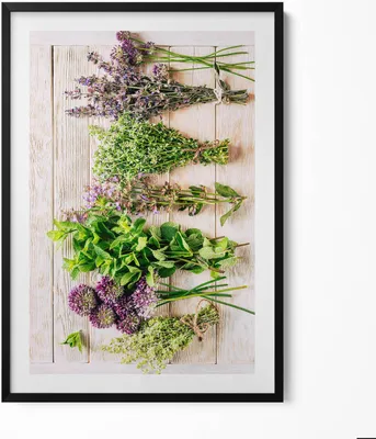 Produktbild von Pflanzen und Kräuter auf Brettern– Wandbild mit Rahmen – Gerahmtes Bild  – Wanddekoration – 70x100 cm –  Schwarz Rahmen