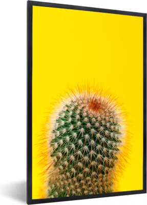 Produktbild von MuchoWow® MuchoWow® Gerahmtes Poster Kaktus mit rot 60x90 cm - Poster mit zchwarzem Bilderrahmen - Kunst