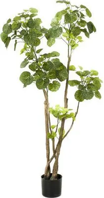 Image de Plante artificielle Polyscias Aralia 135cm - Arbre d'intérieur artificiel haut