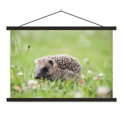 Produktbild von MuchoWow® Textilposter Kleiner Igel im Gras 150x100 cm mit schwarzem Rahmen - Schlafzimmer