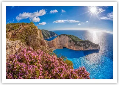 Produktbild von Poster - Poster ohne Rahmen - Meer Sommer Blume - 100x70 cm - Wand Bild - Wanddeko - Wandbilder - Kunstposter - Wandposter - Bilder - Kunstdruck - Wanddekoration - Wandbild - P2XAA100x70-3741