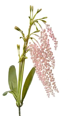 Imagen del producto de Clayre & Eef, flor artificial, 82 cm, color rosa, de plástico