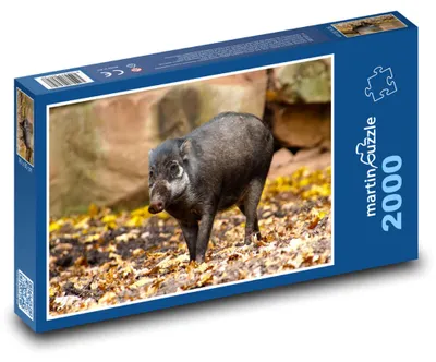 Produktbild von Puzzle 2000 Wildtiere im Wald - martinpuzzle