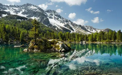 Image de Sanders & Sanders papier peint panoramique montagnes avec des arbres vert et bleu 450 x 280 cm