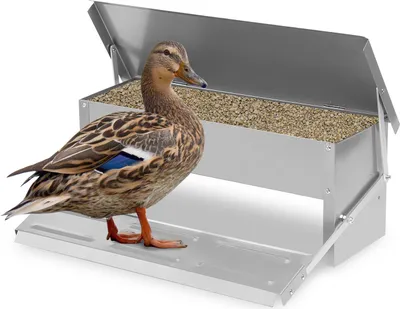 Immagine prodotto di Mangiatoia automatica TolleTour 5KG, mangiatoia automatica con pedale ad apertura automatica, mangiatoia per polli, mangiatoia per pollame anatre