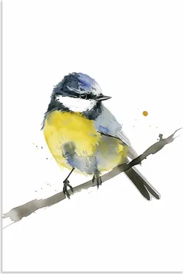 Produktbild von ARTland Wandbild Alu für Innen & Outdoor Aquarell Blaumeise Größe: 60x90 cm