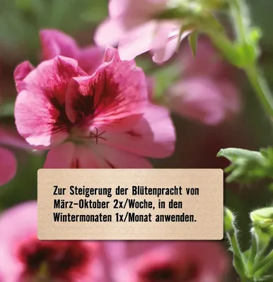 Produktbild von Balkonpflanzendünger & Kübelpflanzendünger FloraSelf 1 L mineralischer Dünger
