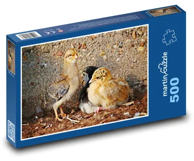 Obrázek produktu pro Puzzle 500 Tři barevní kuřátka - martinpuzzle