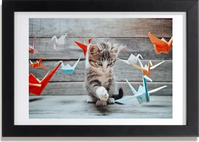 Produktbild von Bild 30x20 MDF-Rahmen, Wandkunst Katze mit Papiervögel