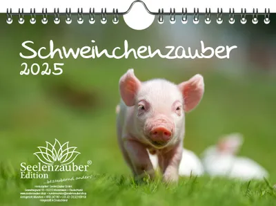 Produktbild von Schweinchenzauber DIN A5 Wandkalender für 2025 Schweinchen - Seelenzauber