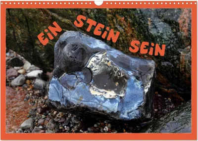 Produktbild von EIN STEIN SEIN (Wandkalender 2025 DIN A3 quer), CALVENDO Monatskalender