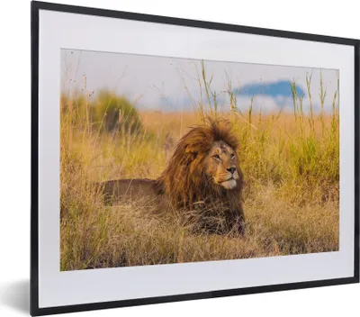Produktbild von MuchoWow® MuchoWow® Gerahmtes Poster Männlicher Löwe im hohen Gras im Serengeti-Nationalpark 40x30 cm - Poster mit zchwarzem Bilderrahmen - Bilderrahmen - Poster im Rahmen