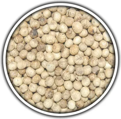Produktbild von Weißer Kampot Pfeffer 500g