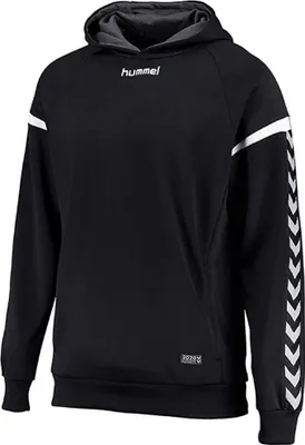Produktbild von hummel AUTH. CHARGE POLY HOODIE BLACK BLACK M