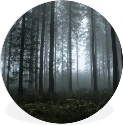 Produktbild von MuchoWow® Rundes Wandbild - Runde Bilder Wald - Licht - Nebel Ø 90 cm Kreis Wanddekoration Kunststoff - Wandkreis - Wandschmuck - Wand-Kreis - Wohnzimmer - Bild - Runde - Wanddeko - Dibond - Kunstdrucke