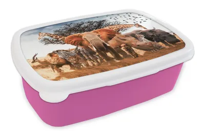 Obrázok produktu pre MuchoWow® Obedník Brotzeit Box na obed 11x17x6cm Zvieratá - Žirafa - Slon Detský obedový box