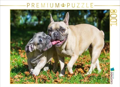 Produktbild von CALVENDO Puzzle Spiel mit Mama | 1000 Teile Lege-Größe 64x48cm Foto-Puzzle für glückliche Stunden