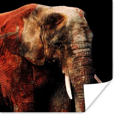 Produktbild von MuchoWow® Poster Elefant - Rot - Zähne 50x50 cm - Wohnzimmerdekoration