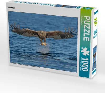 Produktbild von CALVENDO Puzzle Seeadler | 1000 Teile Lege-Größe 64x48cm Foto-Puzzle für glückliche Stunden