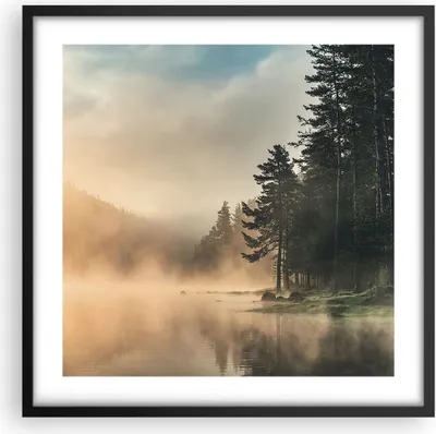 Produktbild von Gerahmtes Poster - Schwarzer Rahmen - Nebel See Wald - 50x50 cm - Wand Bild - Wanddeko - Wandbilder - Kunstposter - Wandposter - Bilderrahmen - Bilder - Kunstdruck - Wanddekoration - P2BAC50x50-4440