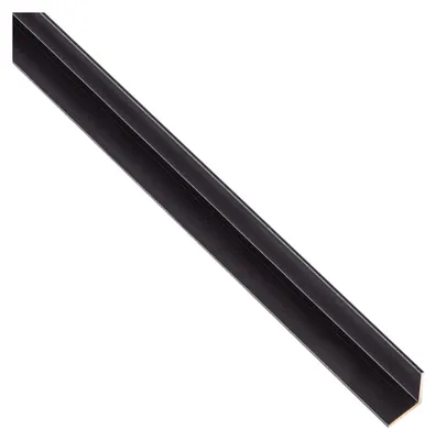 Produktbild von Winkelprofil | Aluminium, schwarz eloxiert | 2000 x 10 x 10 mm