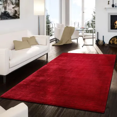 Produktbild von TT Home Teppich Handgemacht Modern Viskose Garn Glanz Hoch Tief Optik Meliert Rot Größe 120x170 cm