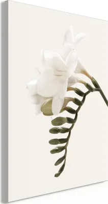 Produktbild von Vliesstoff Leinwandbild - Spring Headdress (1 Part) Vertical 60x90 cm Blumen b-C-0610-b-a
