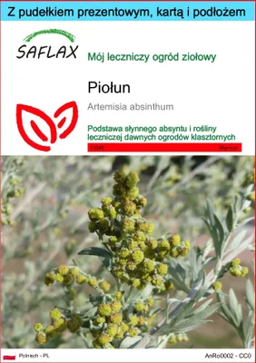 Zdjęcie produktu dla SAFLAX - Zestaw prezentowy - Piołun - 500 Nasiona - Z pudełkiem upominkowym, etykietą wysyłkową, kartą podarunkową i podłożem uprawowym - Artemisia absinthum