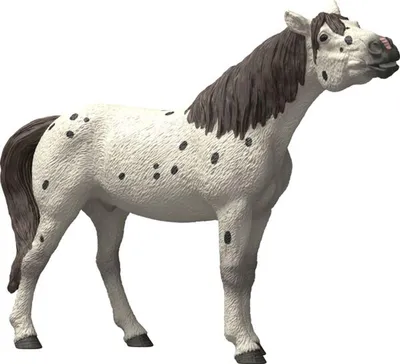 Produktbild von schleich BAYALA 14916, 5 Jahr(e), Mehrfarbig, Kunststoff