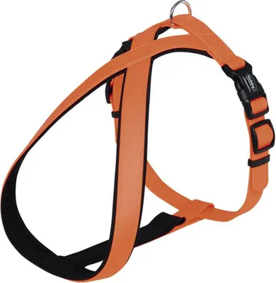 Produktbild von Nobby 80570-04, Hund, Westengeschirr, M, Orange, Polyester, Einfarbig