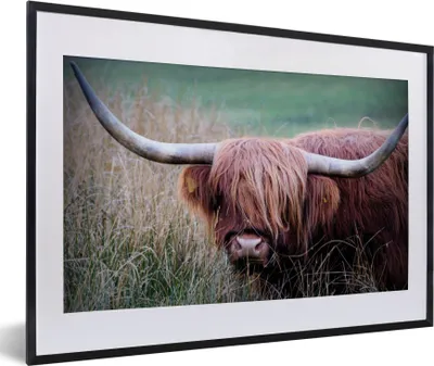 Produktbild von MuchoWow® Gerahmtes Poster Schottischer Highlander - Hörner - Gras 60x40 cm - Poster mit Schwarzem Bilderrahmen Wandposter Rahmen Foto Bilder - Schlafzimmer - Plakat in Rahmen - Drucken
