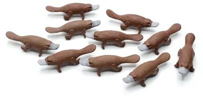 Produktbild von 10x Schnabeltier Set Figuren Aufstellfiguren Tierfiguren Platypus Australien 7cm
