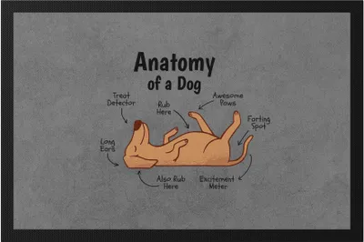 Produktbild von Dog Anatomy Hunde Anatomie Fußmatte Mit Hund Motiv Für Hundebesitzer Hundeliebhaber Hundemama Hundepapa