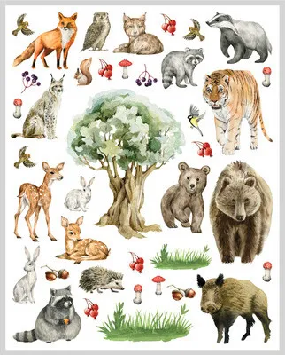 Produktbild von Ministicker Kinder Waldtiere 40-tlg.