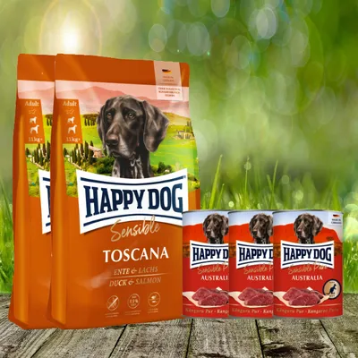 Dog food bags and cans are displayed on a wooden surface with a blurred green background of grass and bokeh lights.