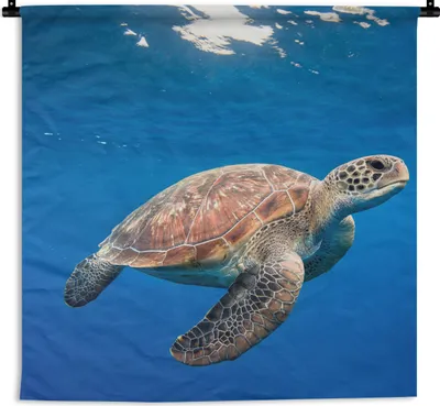 Produktbild von MuchoWow® Wandteppich Wandbehang Schildkröte im Ozean 90x90 cm Tapisserie Dekoration Wandtuch - Wandaufhänger