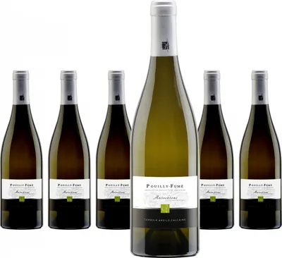 Produktbild von 6 x Domaine Gérard Fiou Pouilly Fumé AOC