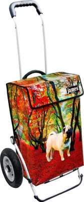 Produktbild von James Einkaufstrolley - MOPSI - stabiler Einkaufswagen mit individuellem Design - einfarbig: rot in Ausführung: Royal-Luftraeder