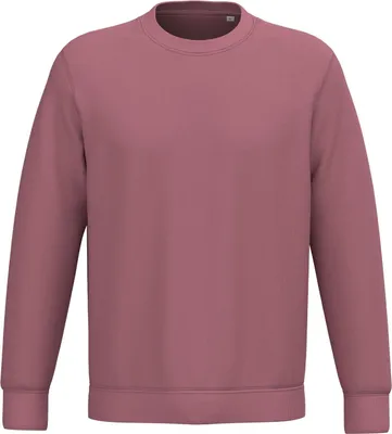 Produktbild von Native Spirit Umweltfreundliches Uni-Sweatshirt mit Rundhalsausschnitt