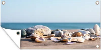 Produktbild von MuchoWow® 60x30 cm Outdoor-Poster Gartendeko Sichtschutz Garten Poster für den Garten  Muscheln - Strand - Meer - Sommer - Sonne