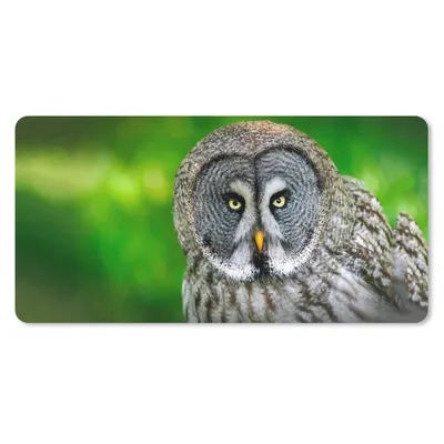 Produktbild von MuchoWow® Schreibtischunterlage Vogel - Eule - Tiere - Braun - Porträt 80x40 cm - XXL Mauspad - Gaming Mauspad