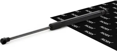 Produktbild von RIDEX 219G0468 Gasfeder Heckklappendämpfer für KIA SORENTO I (JC) 361mm