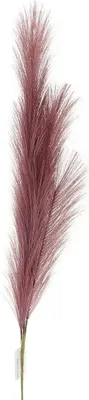 Produktbild von GASPER Reedgras Altrosa 80 cm - Kunstpflanzen